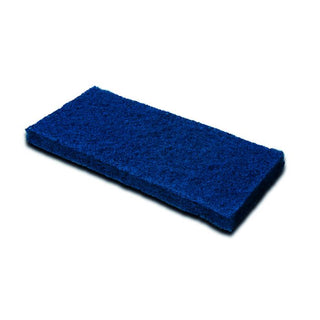 Forte 250x115x20mm Vileda Pad Blue