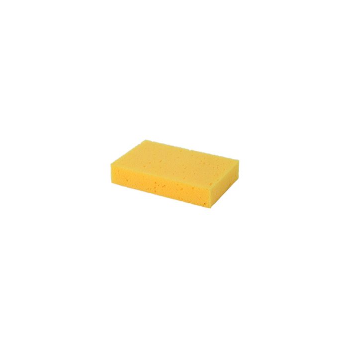 Forte 200x125x38mm General Purpose Sponge – Trimline Group