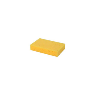 Forte 200x125x38mm General Purpose Sponge