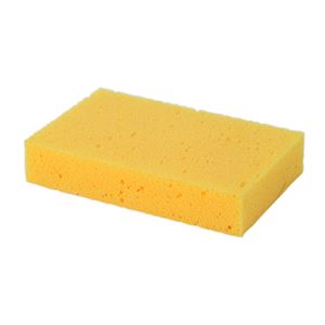 General Purpose Sponge 